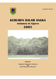 Kebumen Dalam Angka 2005